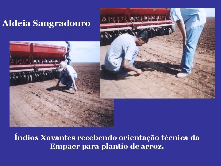 Aldeia Sangradouro Índios Xavantes recebendo orientação técnica da Empaer para plantio de arroz. 