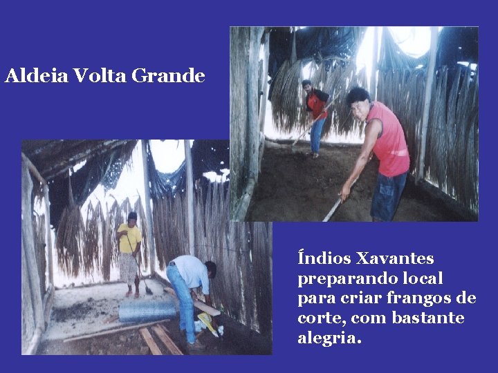 Aldeia Volta Grande Índios Xavantes preparando local para criar frangos de corte, com bastante