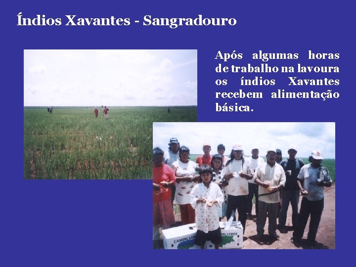 Índios Xavantes - Sangradouro Após algumas horas de trabalho na lavoura os índios Xavantes