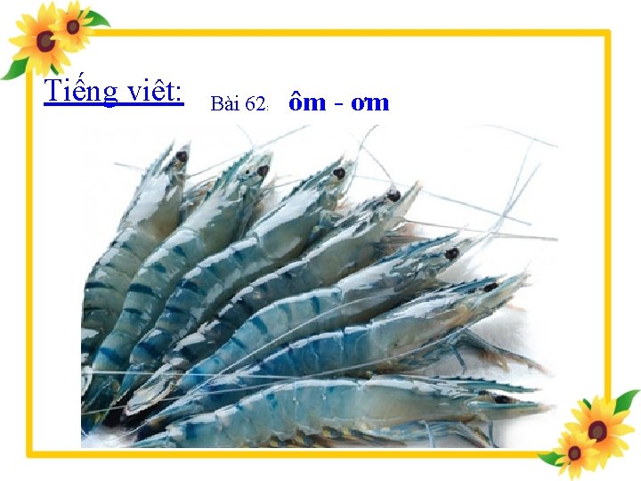 Tiếng việt: ôm tôm con tôm Bài 62: ôm - ơm 