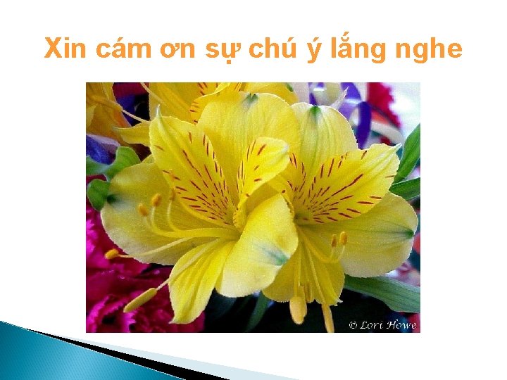 Xin cám ơn sự chú ý lắng nghe 