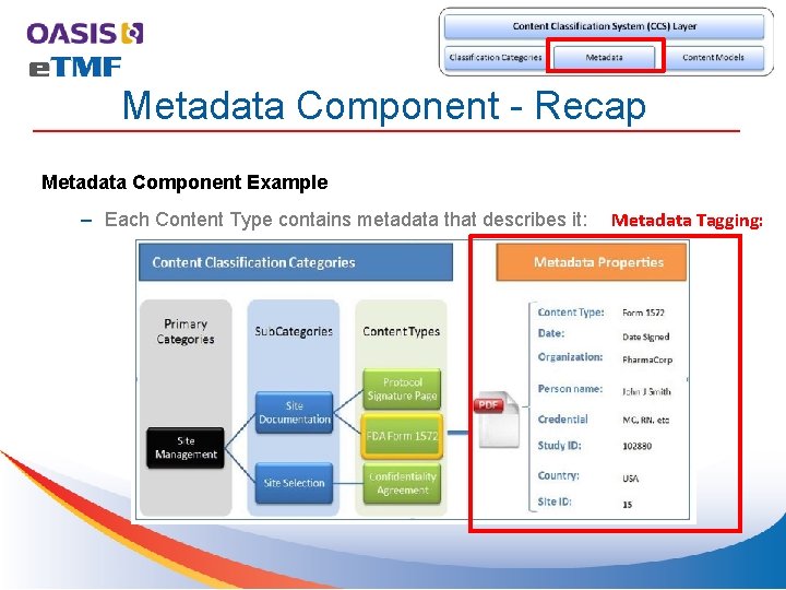 Metadata Component - Recap Metadata Component Example – Each Content Type contains metadata that