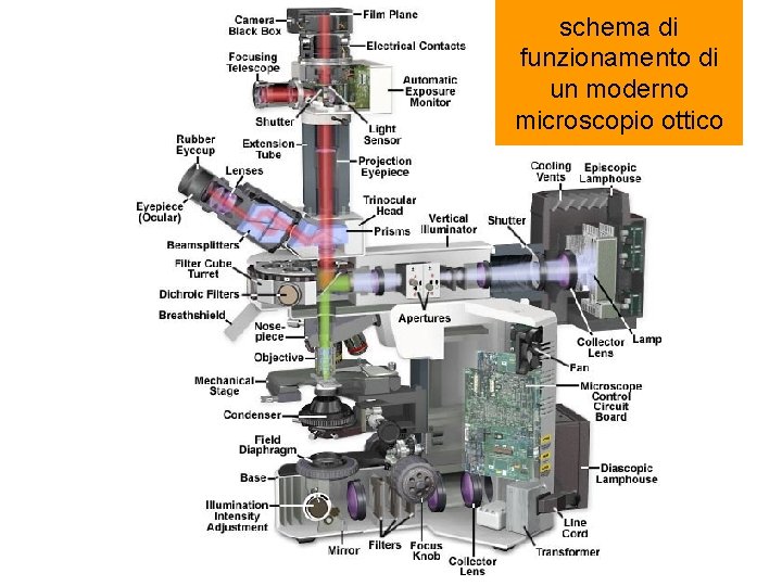 bx 51 schema di interior funzionamento di un moderno microscopio ottico 