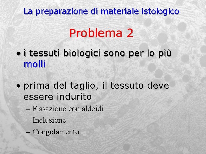 La preparazione di materiale istologico Problema 2 • i tessuti biologici sono per lo