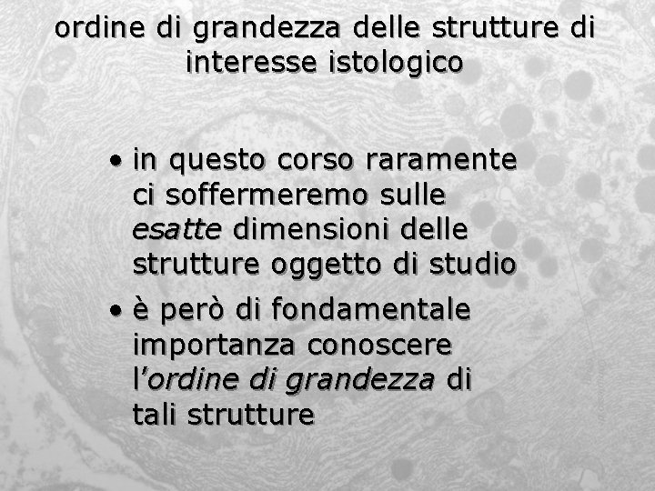 ordine di grandezza delle strutture di interesse istologico • in questo corso raramente ci