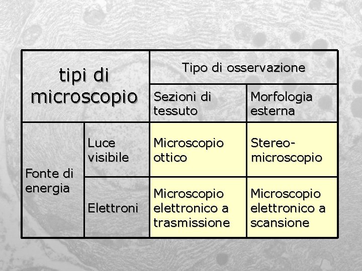 tipi di microscopio Tipo di osservazione Sezioni di tessuto Morfologia esterna Luce visibile Microscopio