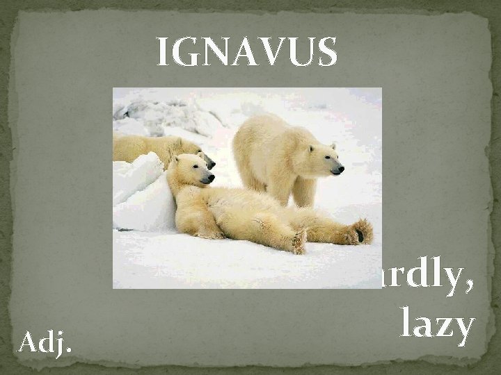 IGNAVUS Adj. Cowardly, lazy 
