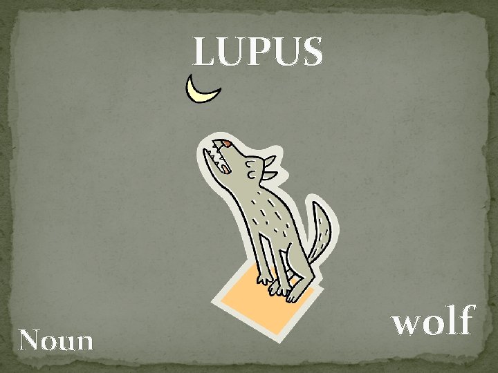 LUPUS Noun wolf 