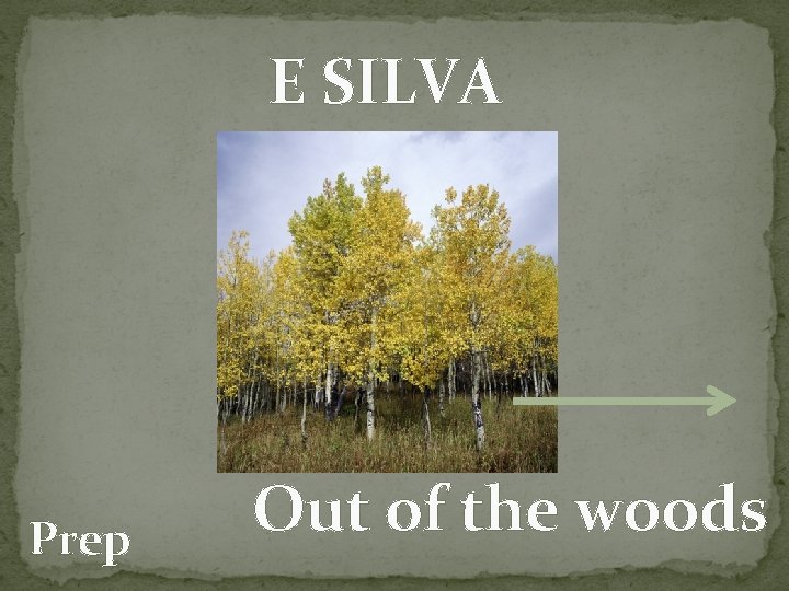 E SILVA Prep Out of the woods 