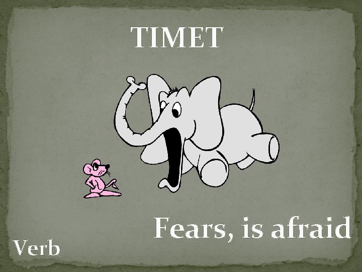 TIMET Verb Fears, is afraid 