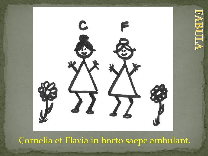 FABULA Cornelia et Flavia in horto saepe ambulant. 