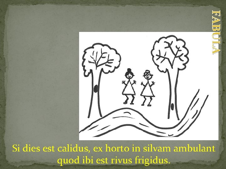 FABULA Si dies est calidus, ex horto in silvam ambulant quod ibi est rivus