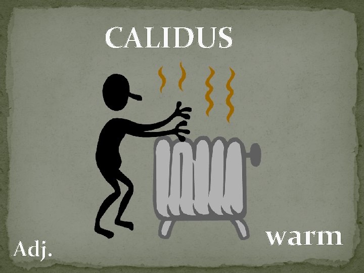 CALIDUS Adj. warm 