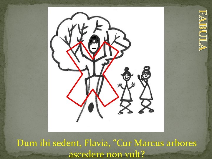 FABULA Dum ibi sedent, Flavia, “Cur Marcus arbores ascedere non vult? 