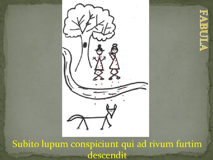 FABULA Subito lupum conspiciunt qui ad rivum furtim descendit 
