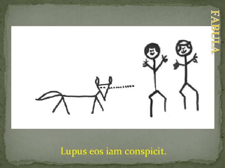 FABULA Lupus eos iam conspicit. 