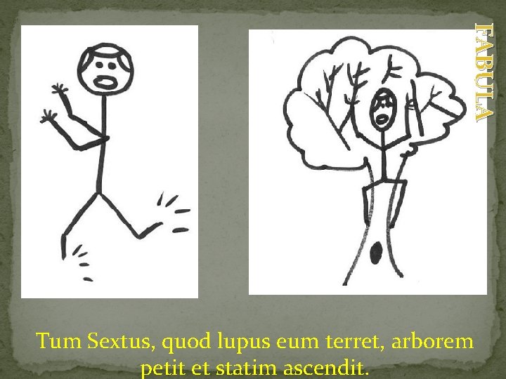 FABULA Tum Sextus, quod lupus eum terret, arborem petit et statim ascendit. 