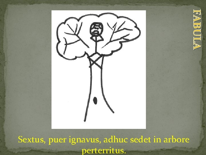 FABULA Sextus, puer ignavus, adhuc sedet in arbore perterritus. 