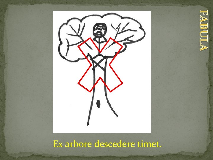 FABULA Ex arbore descedere timet. 