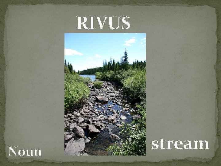 RIVUS Noun stream 