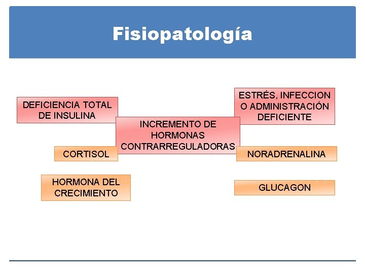 Fisiopatología DEFICIENCIA TOTAL DE INSULINA CORTISOL INCREMENTO DE HORMONAS CONTRARREGULADORAS HORMONA DEL CRECIMIENTO ESTRÉS, Fisiopatología DEFICIENCIA TOTAL DE INSULINA CORTISOL INCREMENTO DE HORMONAS CONTRARREGULADORAS HORMONA DEL CRECIMIENTO ESTRÉS,