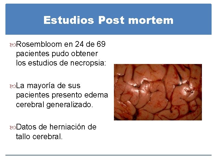 Estudios Post mortem Rosembloom en 24 de 69 pacientes pudo obtener los estudios de Estudios Post mortem Rosembloom en 24 de 69 pacientes pudo obtener los estudios de