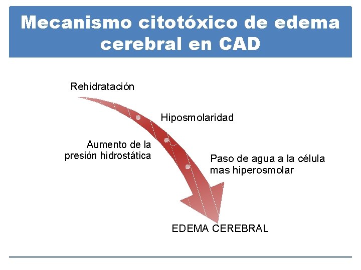 Mecanismo citotóxico de edema cerebral en CAD Rehidratación Hiposmolaridad Aumento de la presión hidrostática Mecanismo citotóxico de edema cerebral en CAD Rehidratación Hiposmolaridad Aumento de la presión hidrostática
