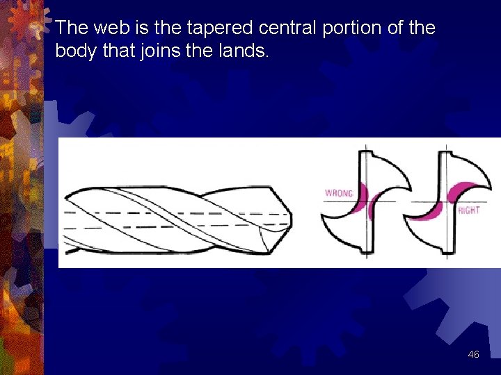 The web is the tapered central portion of the body that joins the lands.