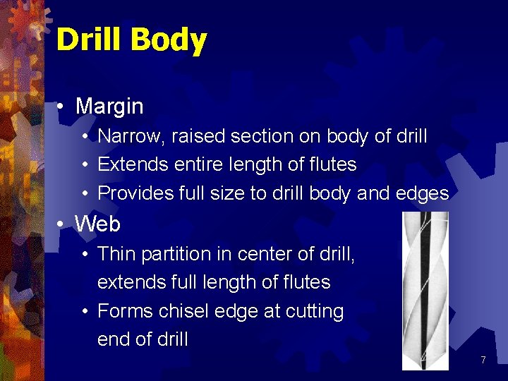 Drill Body • Margin • Narrow, raised section on body of drill • Extends