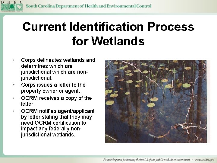 Current Identification Process for Wetlands • • Corps delineates wetlands and determines which are