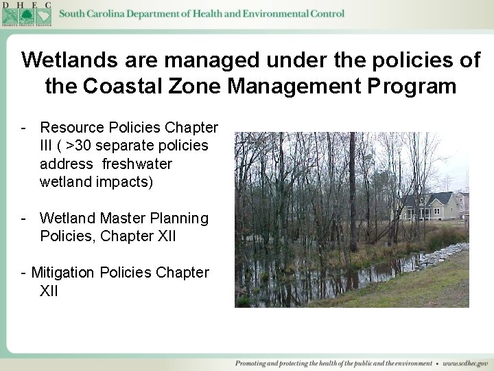 Wetlands are managed under the policies of the Coastal Zone Management Program - Resource