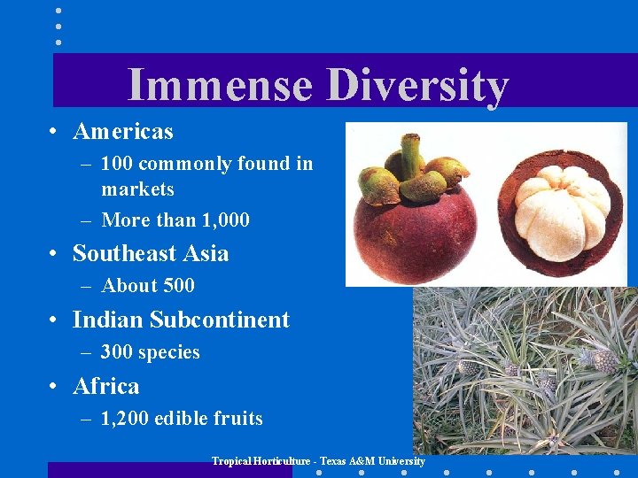 Immense Diversity • Americas – 100 commonly found in markets – More than 1,