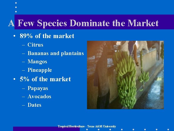 A Few Species Dominate the Market • 89% of the market – – Citrus