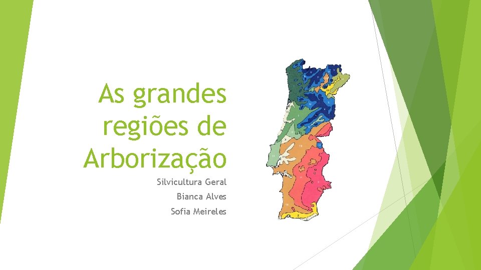 As grandes regiões de Arborização Silvicultura Geral Bianca Alves Sofia Meireles 