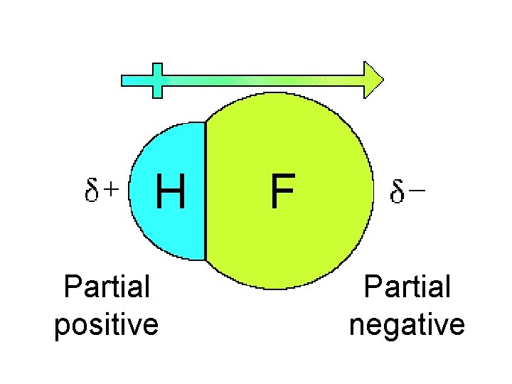 Partial positive Partial negative 
