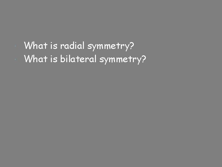 What is radial symmetry? What is bilateral symmetry? 