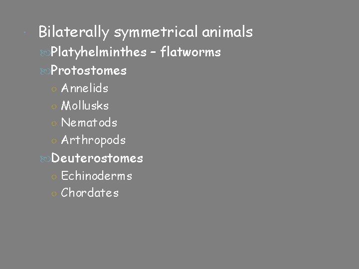  Bilaterally symmetrical animals Platyhelminthes – flatworms Protostomes ○ Annelids ○ Mollusks ○ Nematods