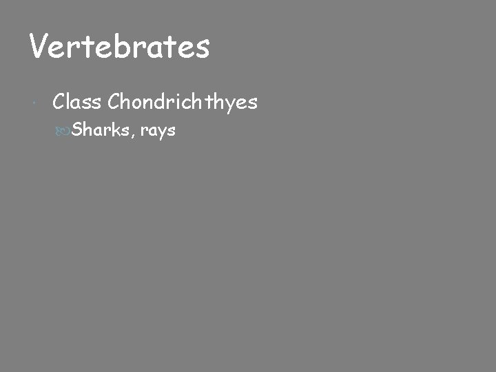 Vertebrates Class Chondrichthyes Sharks, rays 