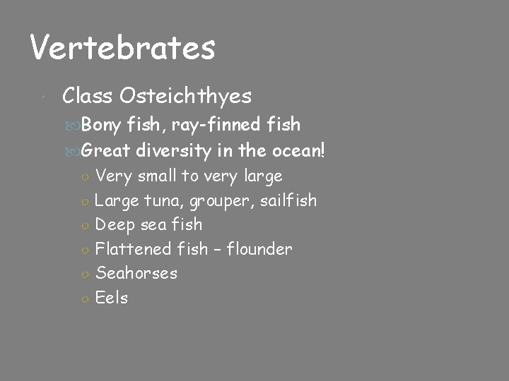 Vertebrates Class Osteichthyes Bony fish, ray-finned fish Great diversity in the ocean! ○ Very