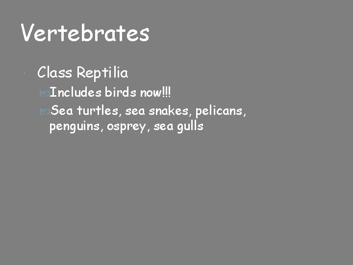 Vertebrates Class Reptilia Includes birds now!!! Sea turtles, sea snakes, pelicans, penguins, osprey, sea