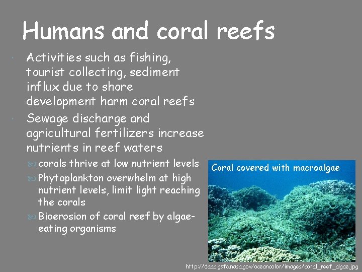 Humans and coral reefs Activities such as fishing, tourist collecting, sediment influx due to