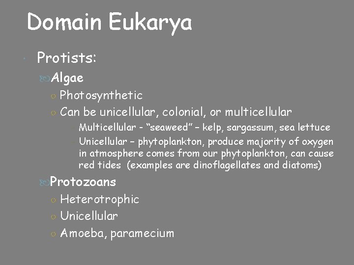 Domain Eukarya Protists: Algae ○ Photosynthetic ○ Can be unicellular, colonial, or multicellular -