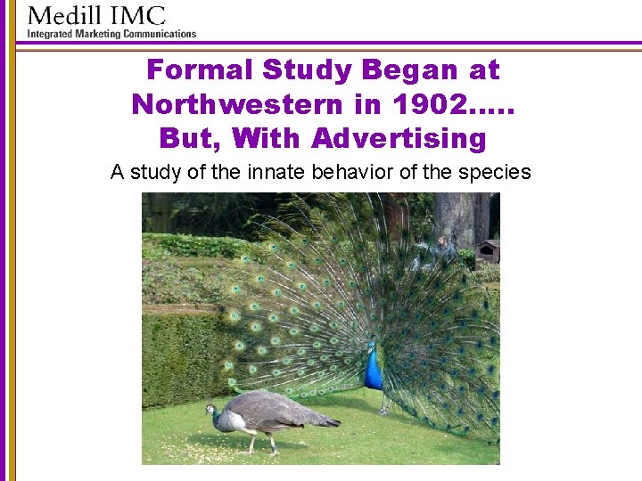 Formal Study Began at Northwestern in 1902…. . But, With Advertising A study of
