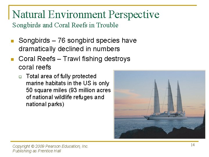 Natural Environment Perspective Songbirds and Coral Reefs in Trouble n n Songbirds – 76