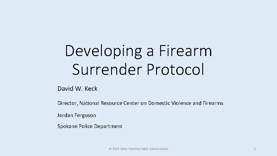 Developing a Firearm Surrender Protocol David W. Keck Director, National Resource Center on Domestic