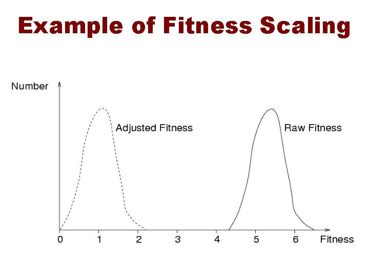 Example of Fitness Scaling 