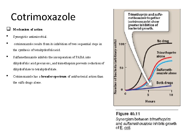 Cotrimoxazole q Mechanism of action • Synergistic antimicrobial. • cotrimoxazole results from its inhibition