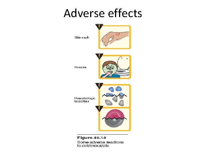 Adverse effects 
