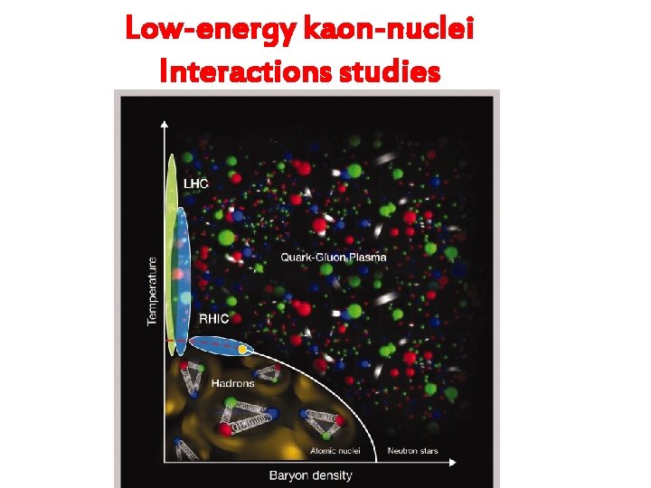 Low-energy kaon-nuclei Interactions studies 