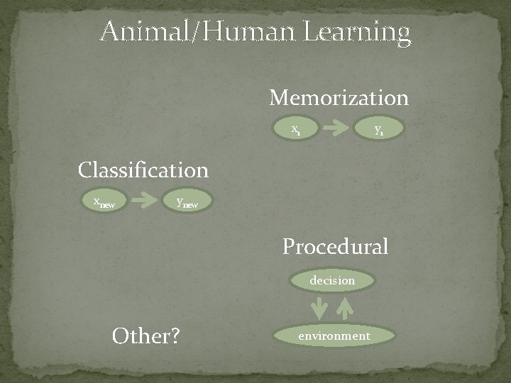 Animal/Human Learning Memorization x 1 y 1 Classification xnew ynew Procedural decision Other? environment